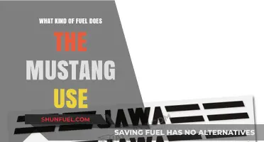What Fuel Powers the Mustang: Unleashing the Pony Car's Engine