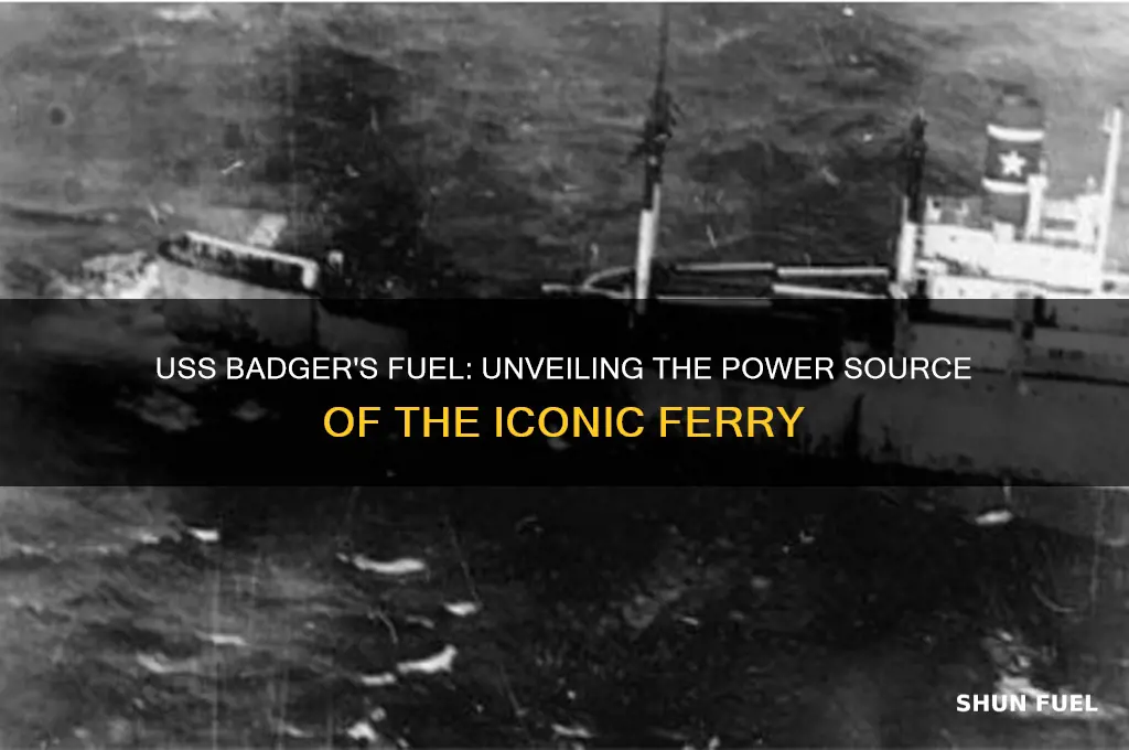 what kind of fuel does the uss badger use
