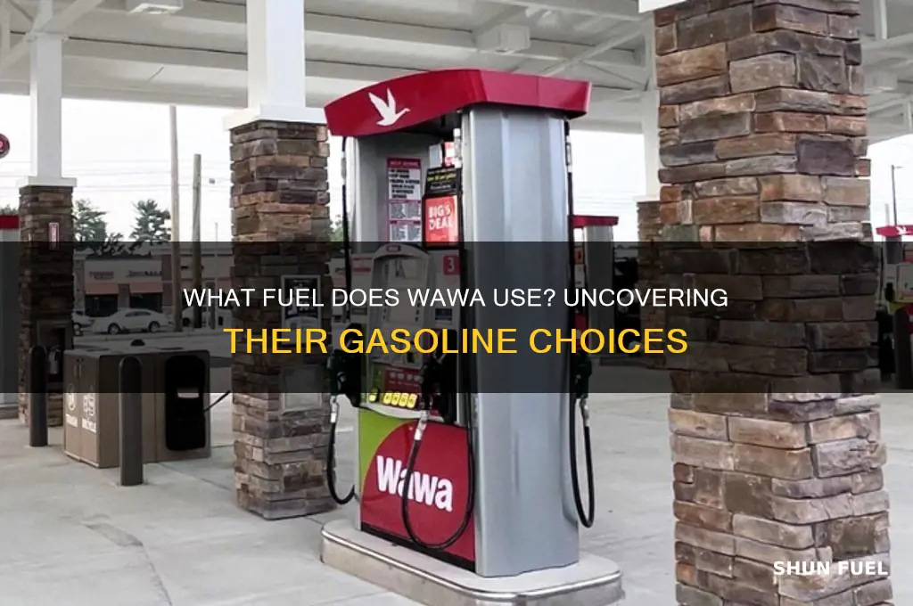 what kind of fuel does wawa use