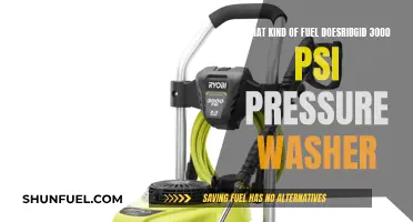 Best Fuel for Rigid 3000 PSI Pressure Washers