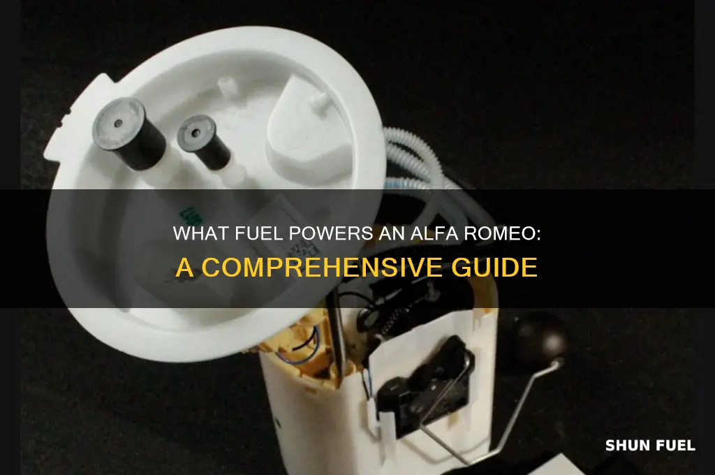 what kind of fuel foes an alpa romeo use