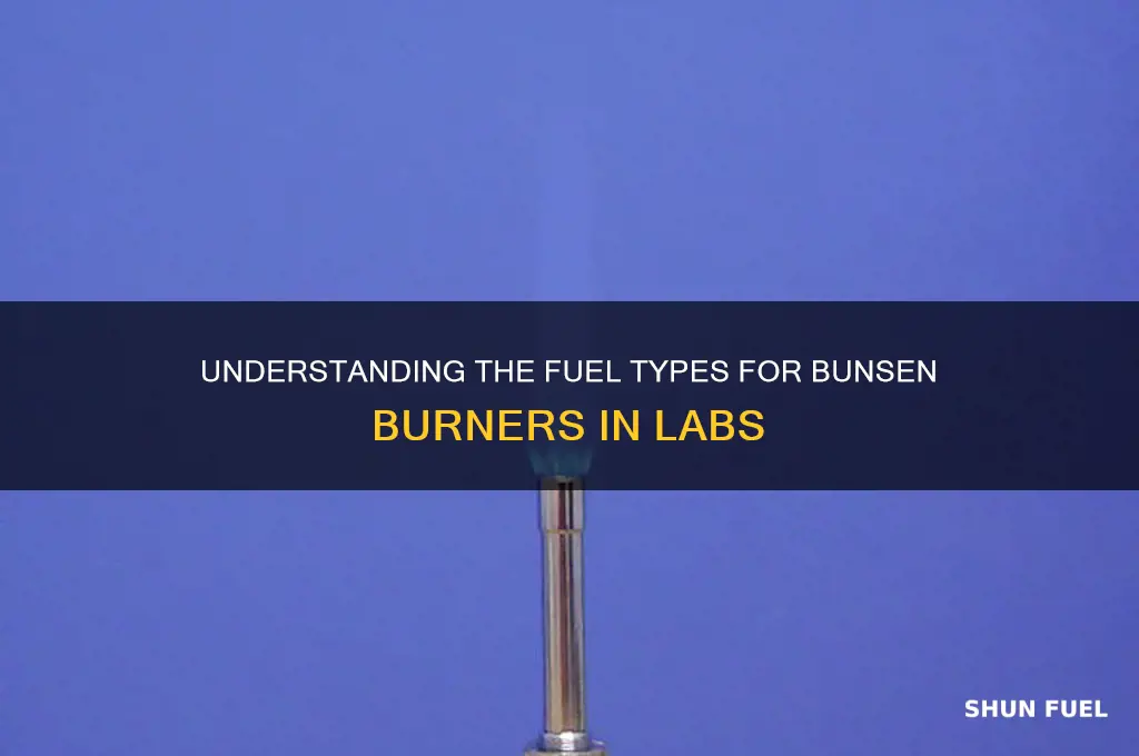 what kind of fuel is used in a bunson burner