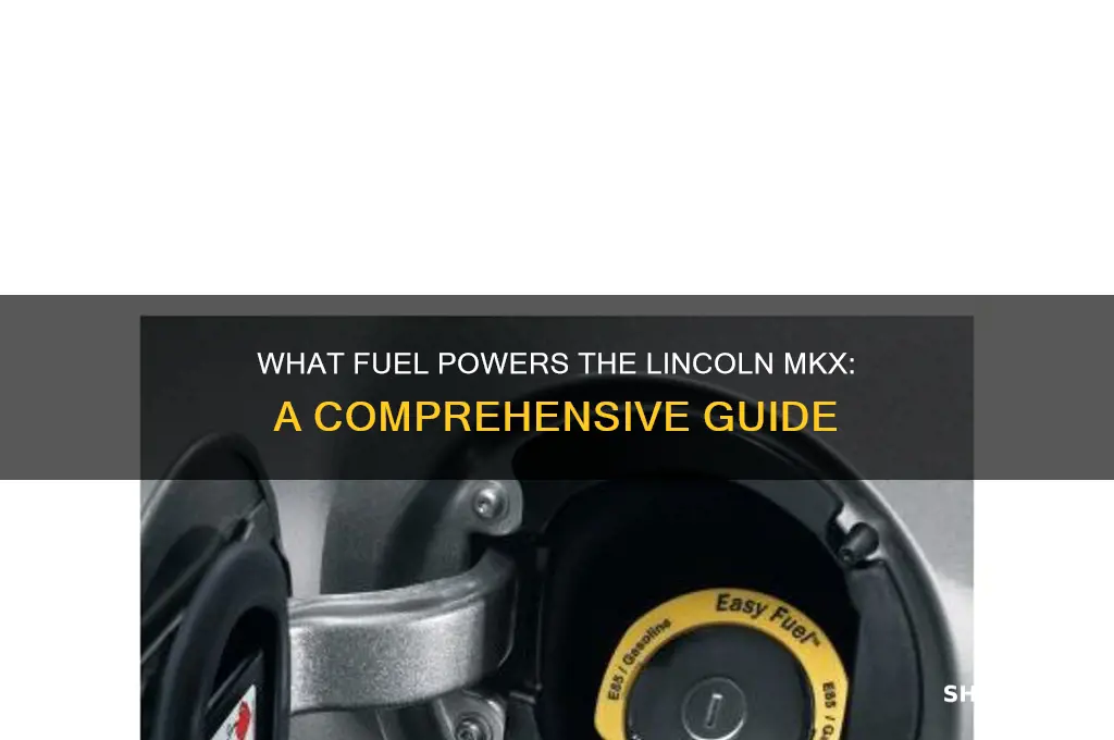 what kind of fuel is used in a mkx