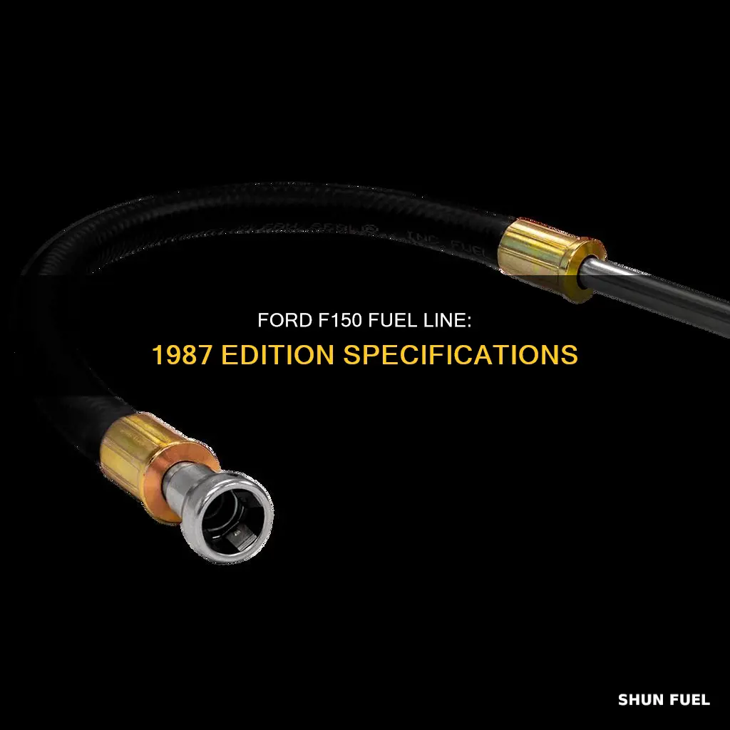 what kind of fuel line does an 1987 f150 use