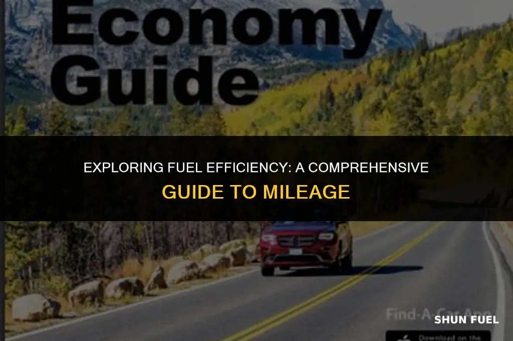 what kind of fuel mileage