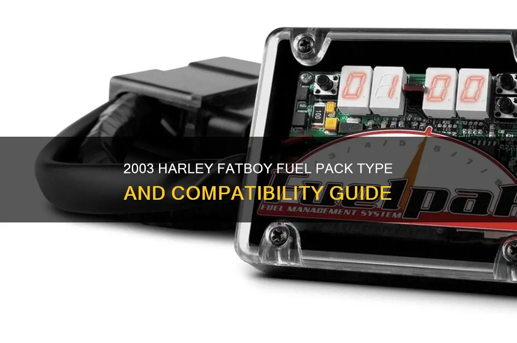 what kind of fuel pack does my 2003 fatboy use