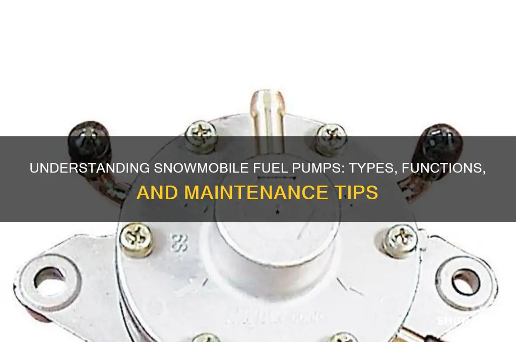 what kind of fuel pump do snowmobiles have