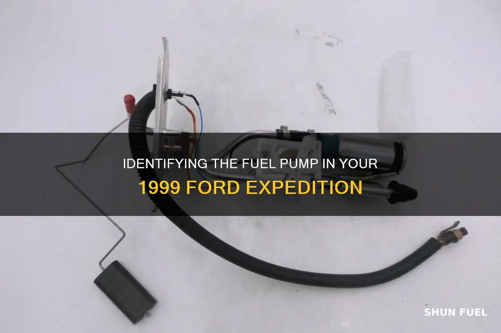 what kind of fuel pump does my 1999 expedition have
