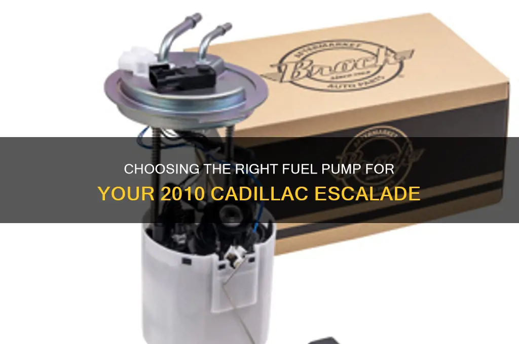 what kind of fuel pump for 2010 cadillac escalade