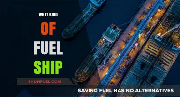 Exploring the Different Types of Fuel Ships: A Comprehensive Guide