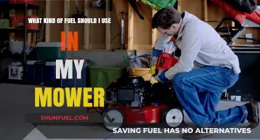 Choosing the Right Fuel for Your Lawn Mower: A Comprehensive Guide