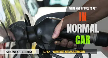The Right Fuel for Your Car: Unleaded or Diesel?