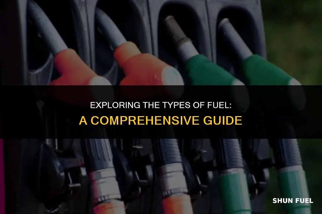what kind of fuel