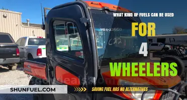 Exploring Fuel Options for Four-Wheelers: Types and Alternatives