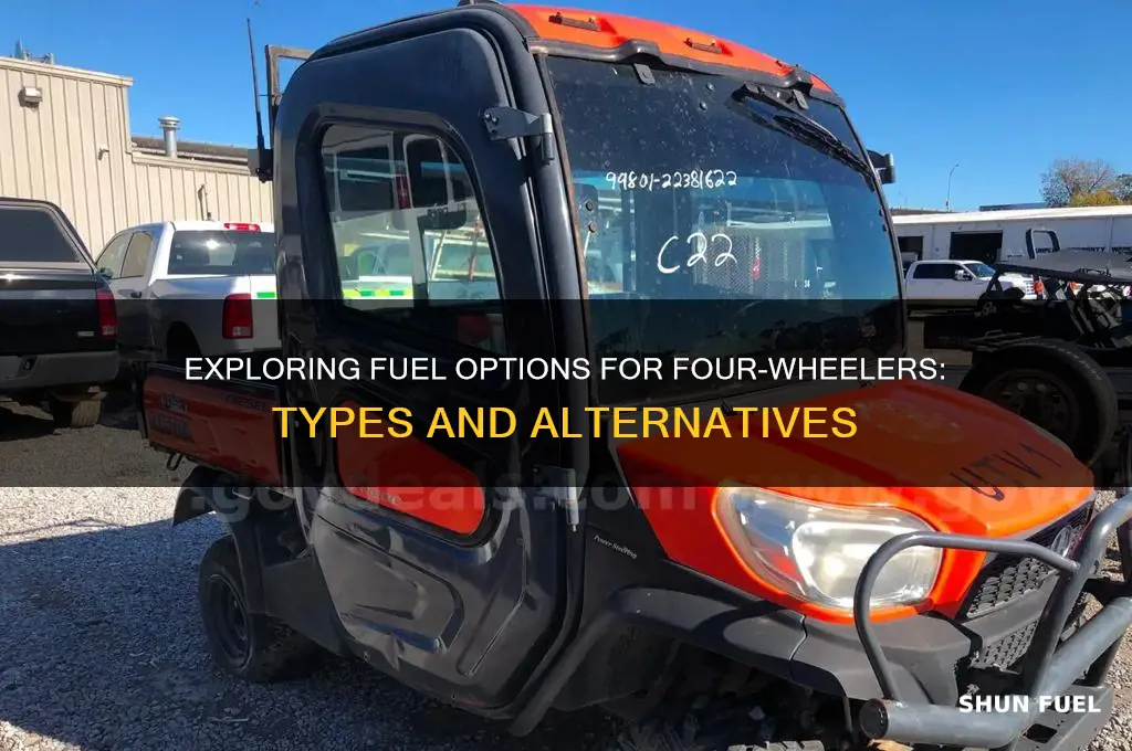 what kind of fuels can be used for 4 wheelers