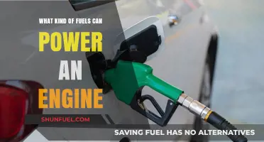 Exploring Diverse Fuel Options to Power Modern Engines Efficiently