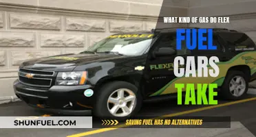 Flex Fuel Cars: What Gas Do They Take?