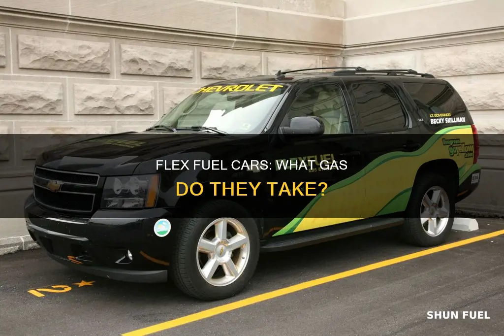 what kind of gas do flex fuel cars take