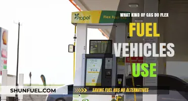 Flex Fuel Vehicles: Understanding the Gas Types They Can Use