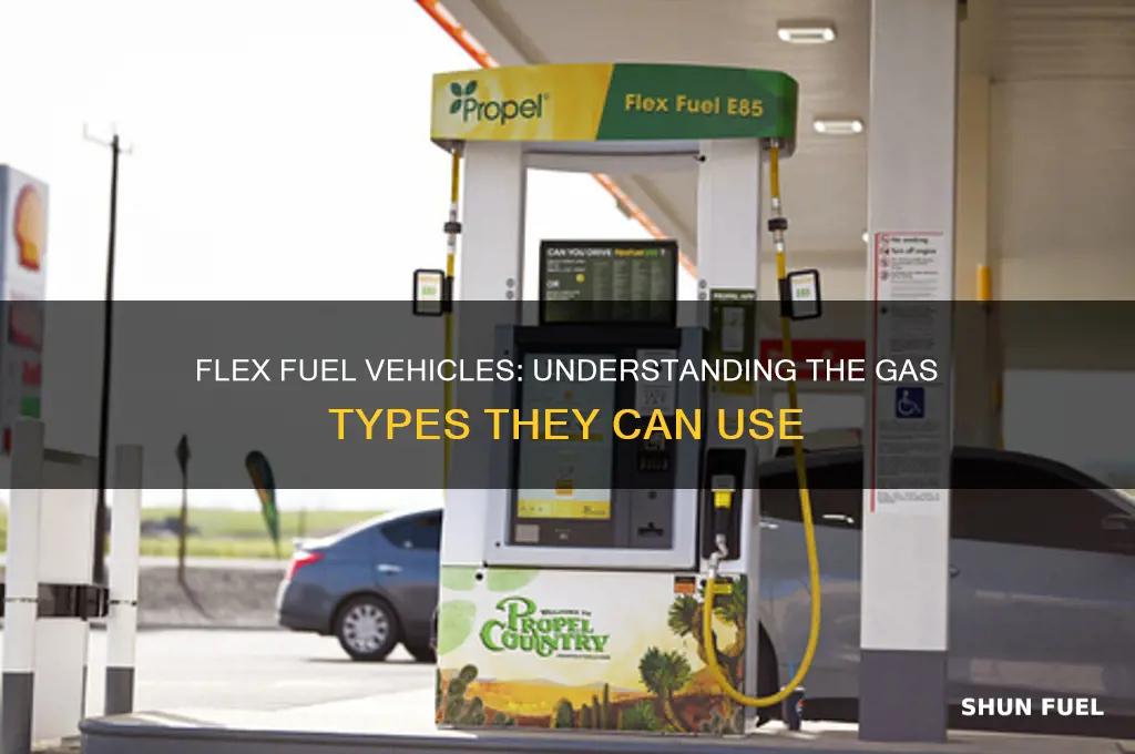 what kind of gas do flex fuel vehicles use