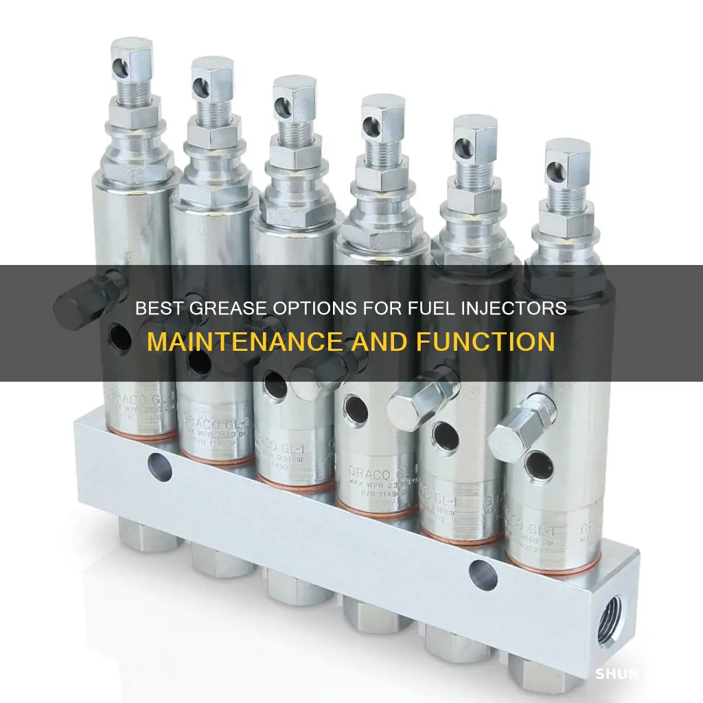what kind of grease for fuel injectors