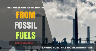 Fossil Fuels: A Multitude of Pollutants