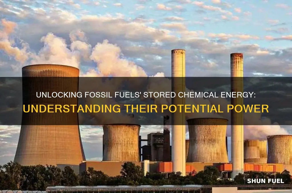 what kind of potential energy do fossil fuels contain