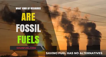 Fossil Fuels: Understanding Their Nature and Role as Energy Resources