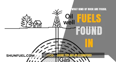Fossil Fuels: Unveiling the Rock Layers That Hold Their Secrets