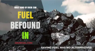 Discovering Fuel-Rich Rocks: Types and Locations Explained