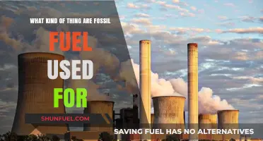 Fossil Fuels: Powering Industries, Transportation, and Daily Life Explained