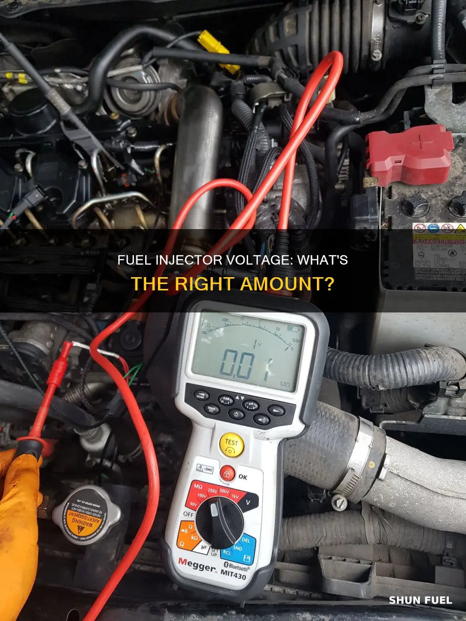 what kind of voltagw in fuel injectors