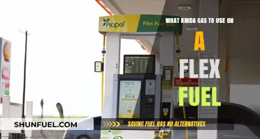 Flex Fuel Gas Guide: Choosing the Right Fuel for Your Vehicle