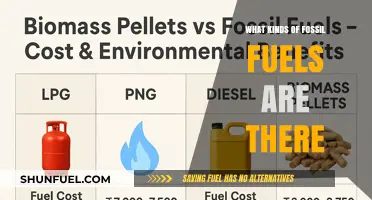 Exploring the Types of Fossil Fuels: Coal, Oil, and Natural Gas