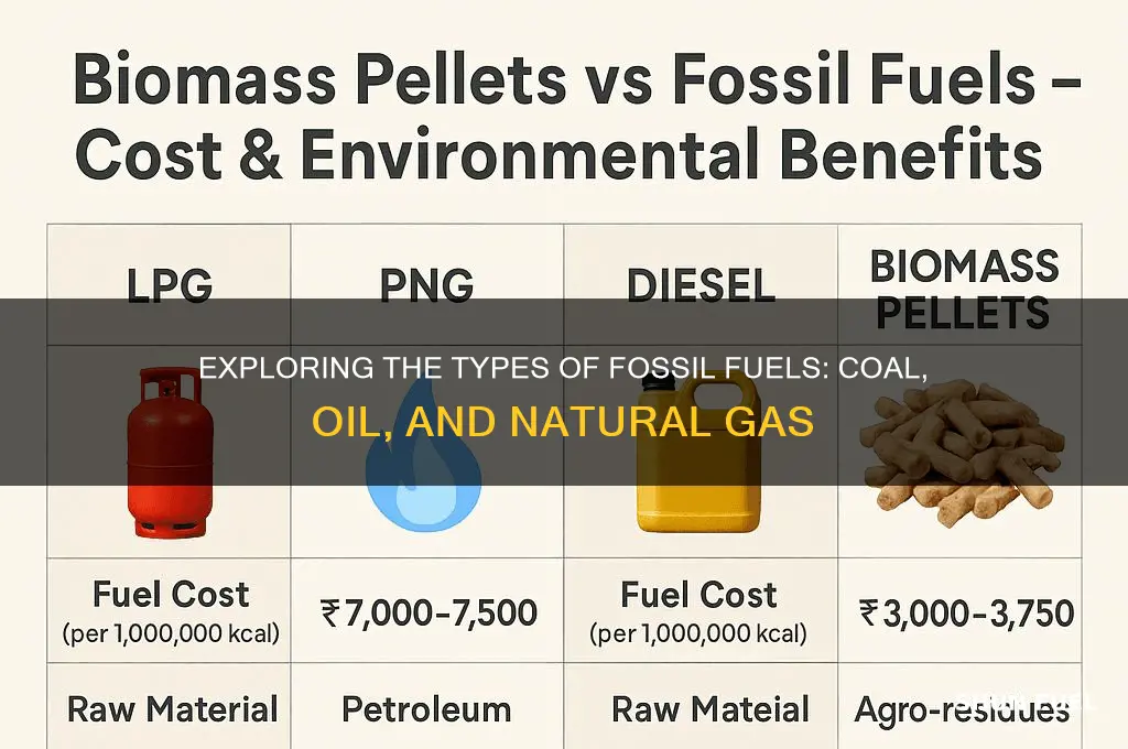 what kinds of fossil fuels are there