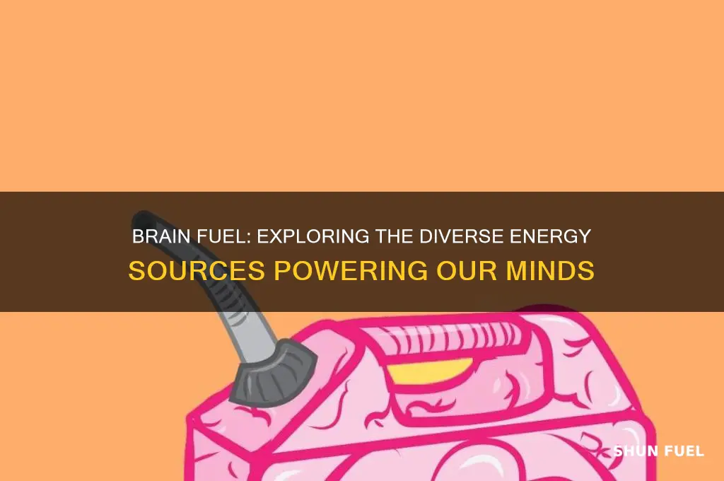 what kinds of fuels can the brain use