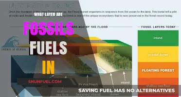 Fossil Fuels: Unveiling Their Geological Layer and Formation Secrets