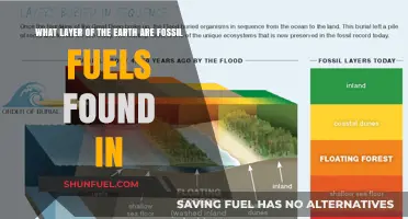 Earth's Fossil Fuel Depths: Unveiling the Layer of Energy Reserves