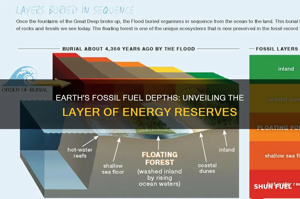 what layer of the earth are fossil fuels found in