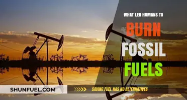 The Rise of Fossil Fuels: Uncovering Humanity's Energy Evolution