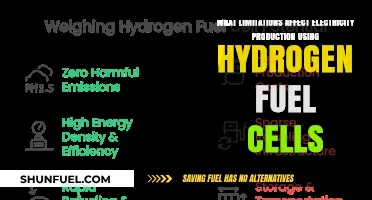 Hydrogen Fuel Cells: Key Limitations in Electricity Production Explored