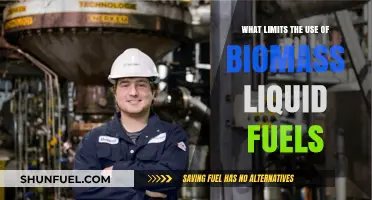 Challenges Hindering Widespread Adoption of Biomass Liquid Fuels