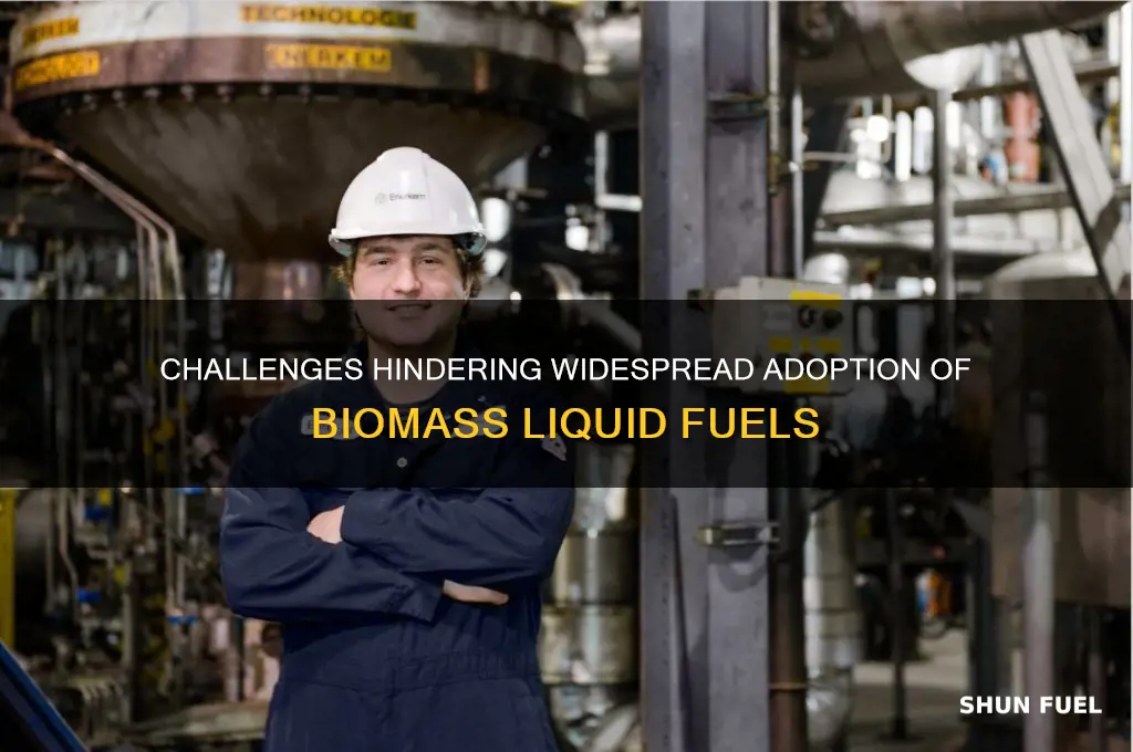 what limits the use of biomass liquid fuels