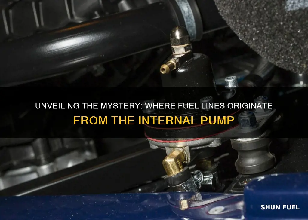 what lines vome from internal fuel pump