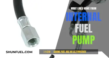 Fuel Pump Lines: What You Need to Know