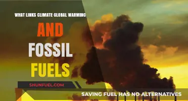 Climate Crisis: Fossil Fuels' Role in Global Warming Explained