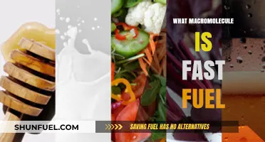 Quick Energy: The Role of Simple Sugars as Fast Fuel