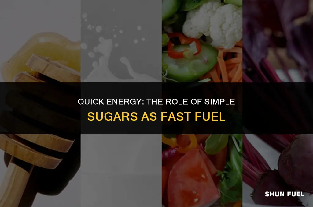 what macromolecule is fast fuel