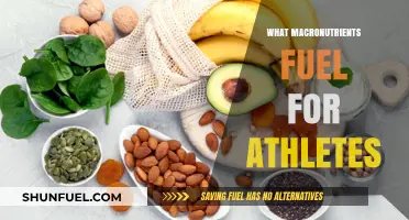 Fueling Performance: The Essential Macronutrients for Athletes