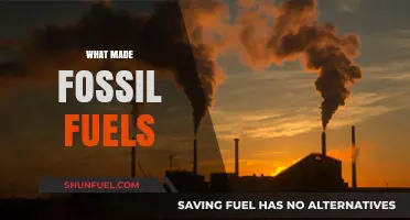 The Origin of Fossil Fuels: A Historical Perspective